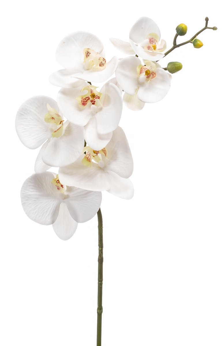 Emerald Kunstbloem Phalaenopsis RT wit 83cm - Kunstplant voor binnen