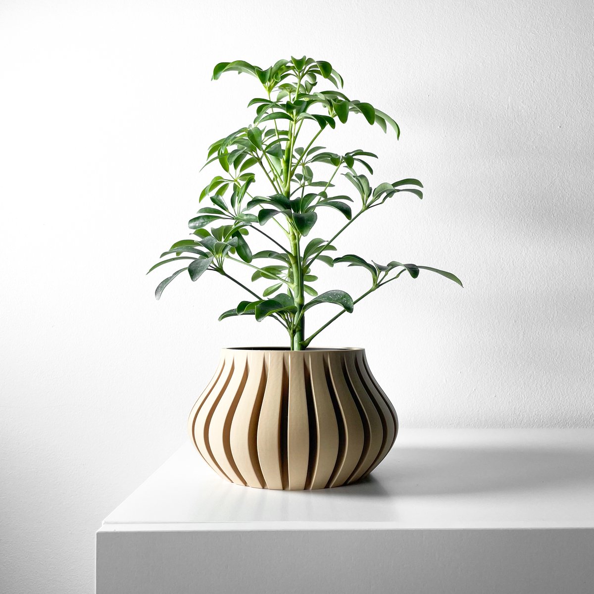 Skushy Toril Bloempot - Moderne Designpot voor Kamerplanten - Sculpturale Plantenpot voor Woonkamer en Kantoor - Premium Woondecoratie