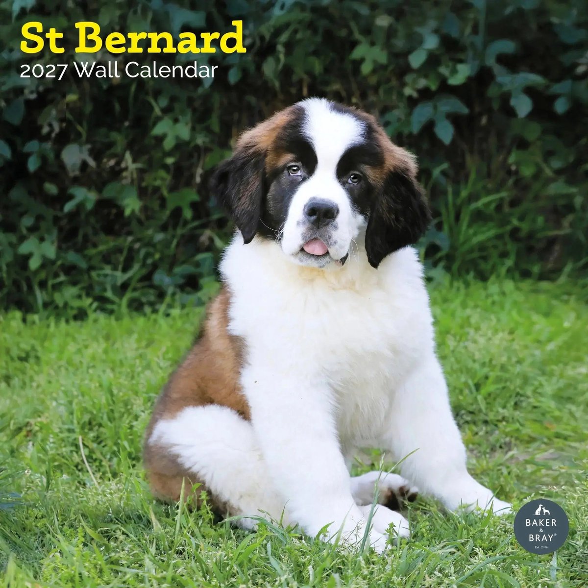 Sint Bernard Kalender 2027