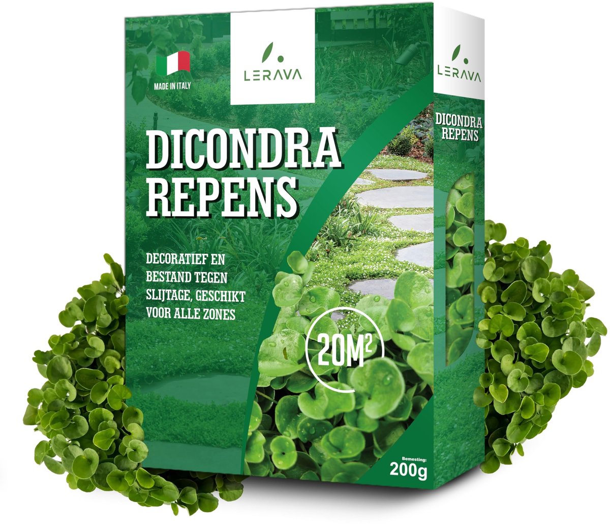 Solidchoice - Dichondra Repens Zaden, Onderhoudsarme Graszaad (200g - Voor 20m²)