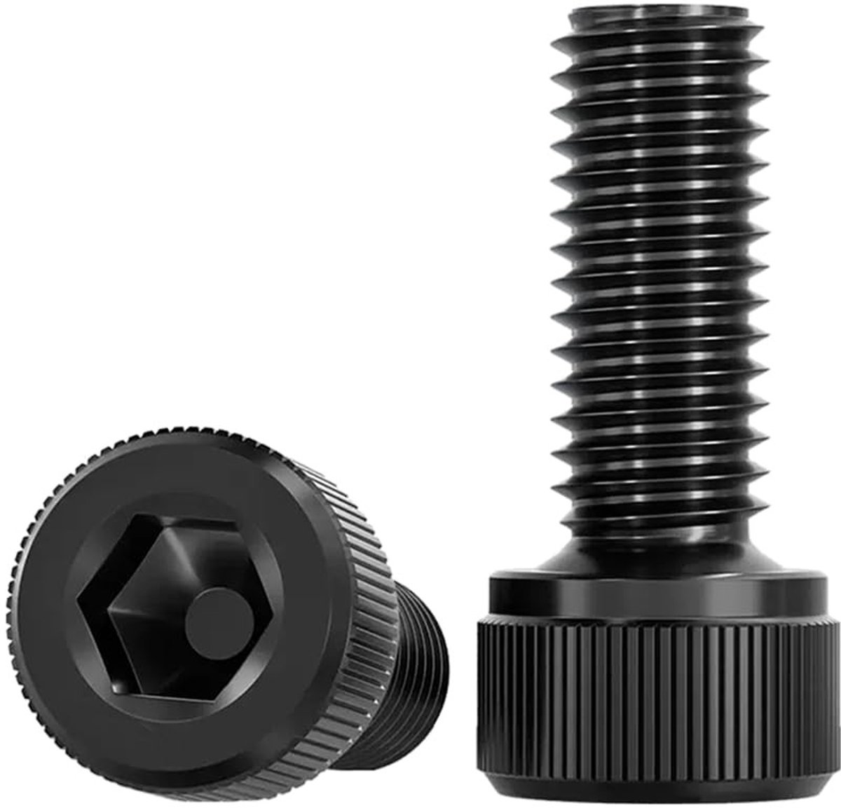 Elzusha - Set van 20 RVS Cilinderkop Schroeven M5 x 16mm