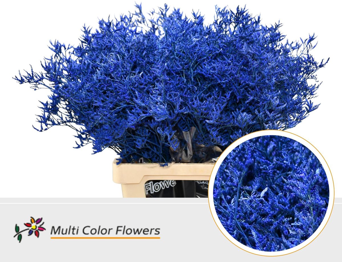 25x Lim. blauw 70cm