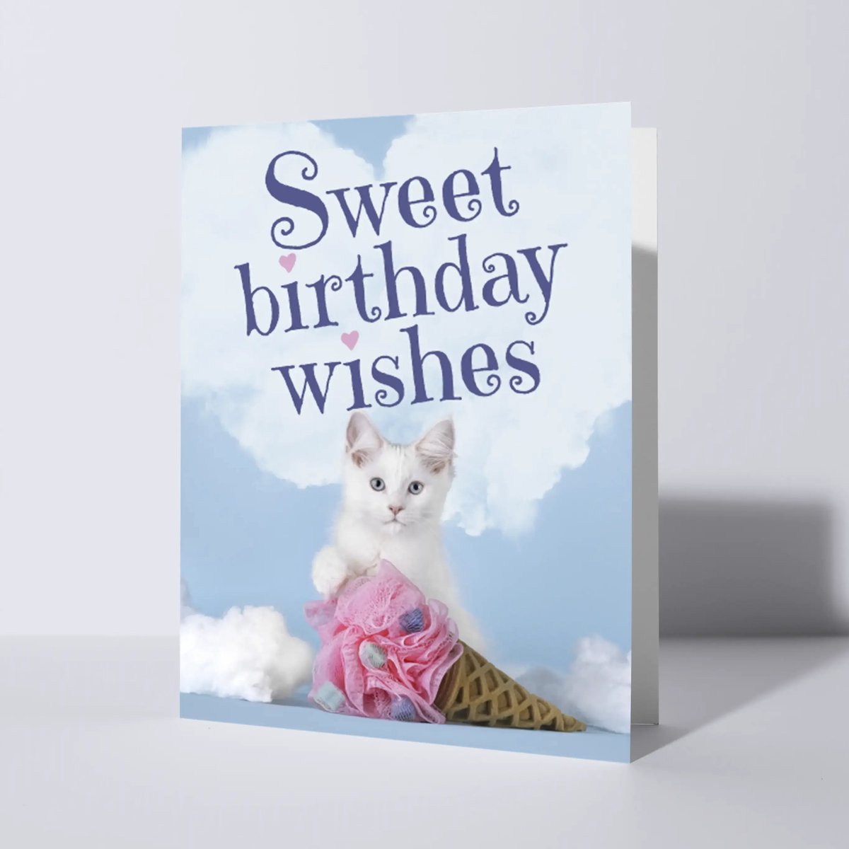 CAT'CHY Cards - wenskaart - verjaardag - kat - maine coon