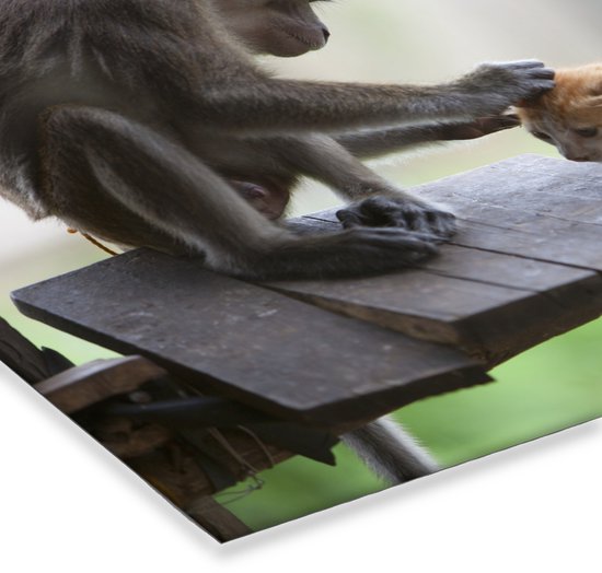 Poster in lijst - Fotolijst 90x60 cm - Posters - Kat - Aap - Hout - Posterlijst zwart - Decoratie - Wanddecoratie woonkamer - Muurdecoratie slaapkamer