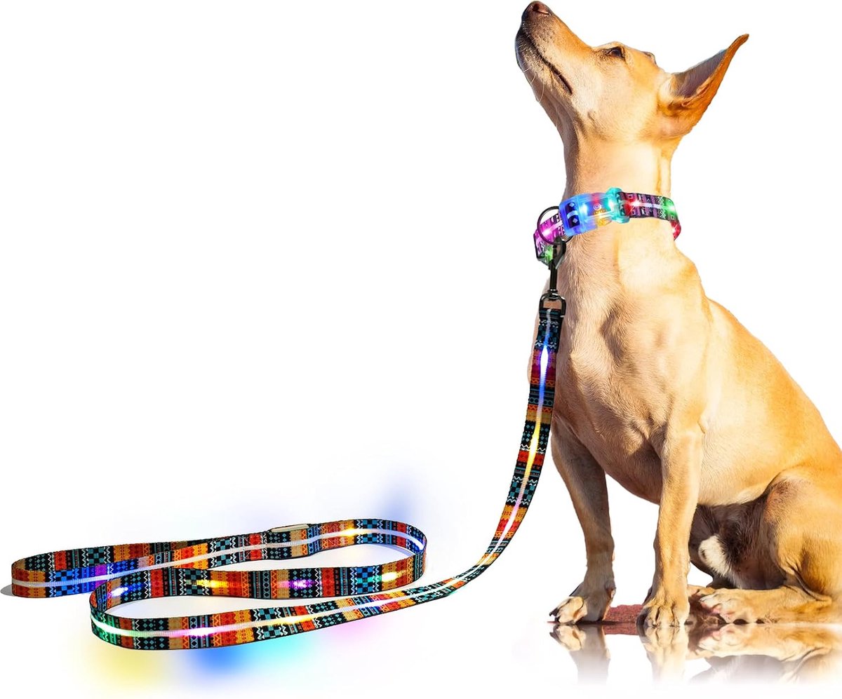 SnelShoppen - Luminous Hondenriem LED Hondenriem Oplaadbaar 1.5m Waterdicht 3 Verlichtingsstanden voor Middelgrote en Grote Honden Nachtwandelen Bohem