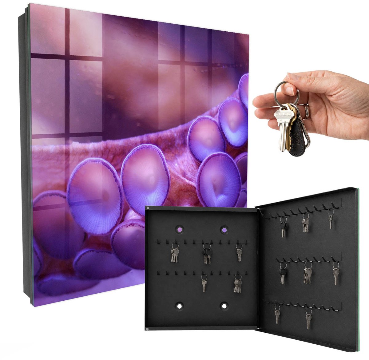 WallMuralia - Sleutelkast - 30x30x5 cm - met 50 haken - Harmonie Onder Water Leuk Sleutelkastje - Paars Sleutelbox - Rechtsopenend - Zwart interieur