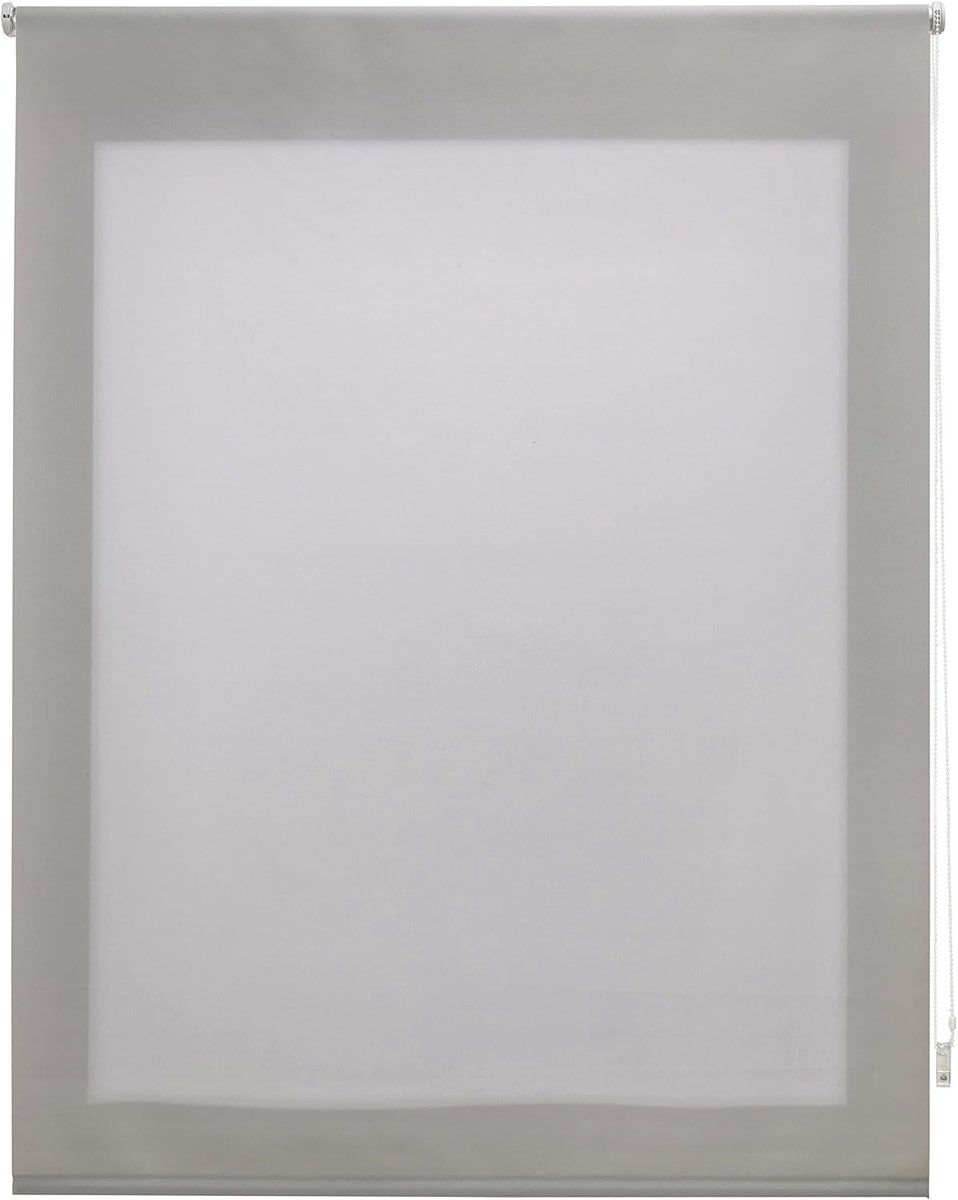 Glad Rolgordijn - Doorschijnend 6x160x250 cm zilver
