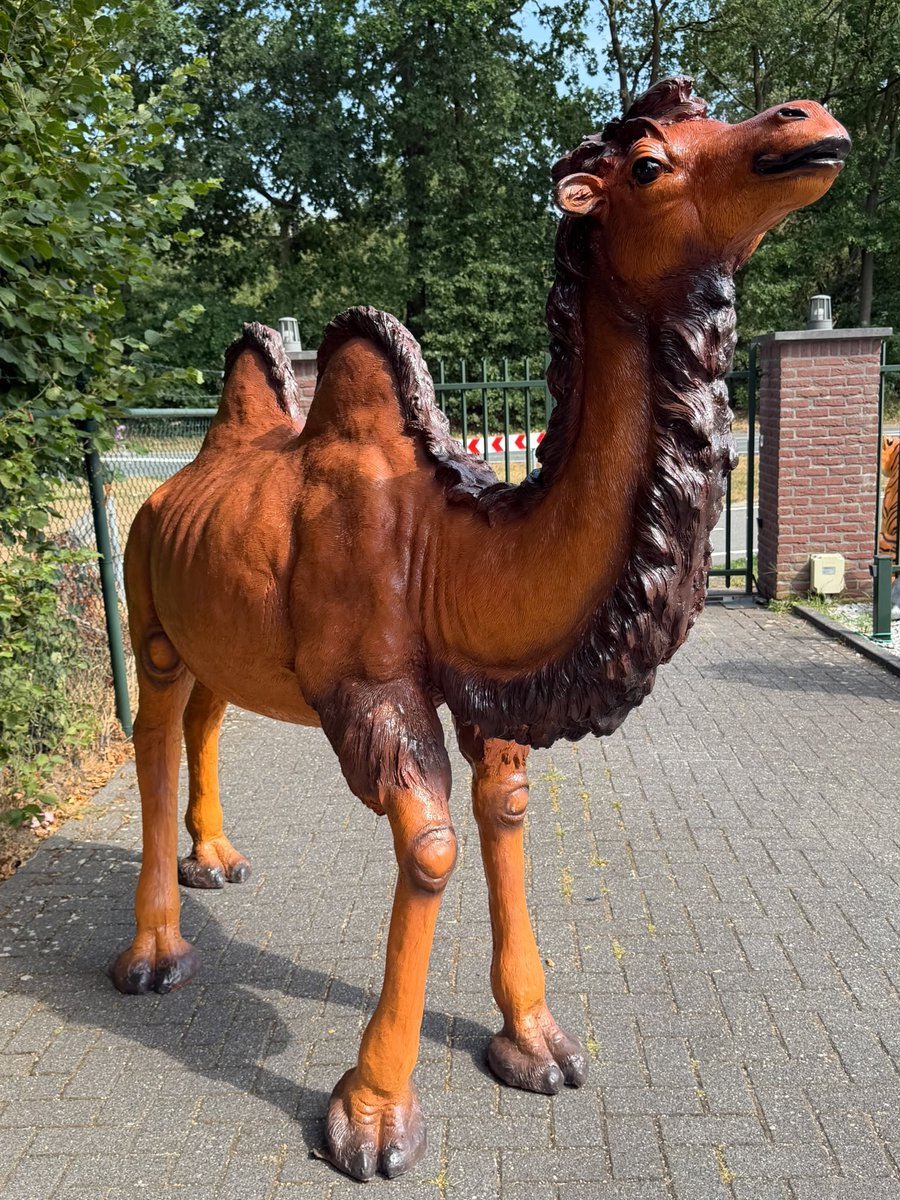 Goodyz - Wilde dieren - Kameel - origineel - zeer groot - 250 cm lang - 195 cm hoog