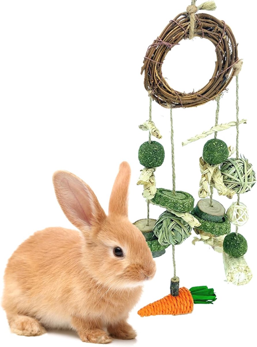 Speelgoed - cavia's - hamster - konijnenaccessoires, hangende bijtspeelgoedset geschikt voor konijnen, cavia's, hamsters en andere kleine dieren
