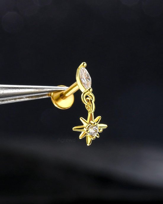 Helix Piercing Sieraden 316l Chirurgisch Staal 16G Conch Tragus Stud Gold Labret Lip Piercing Sieraden Ster 8 6 mm Schroefloos Voorwaarts Kraakbeen Oorbellen Stud voor Vrouwen — afbeelding 5