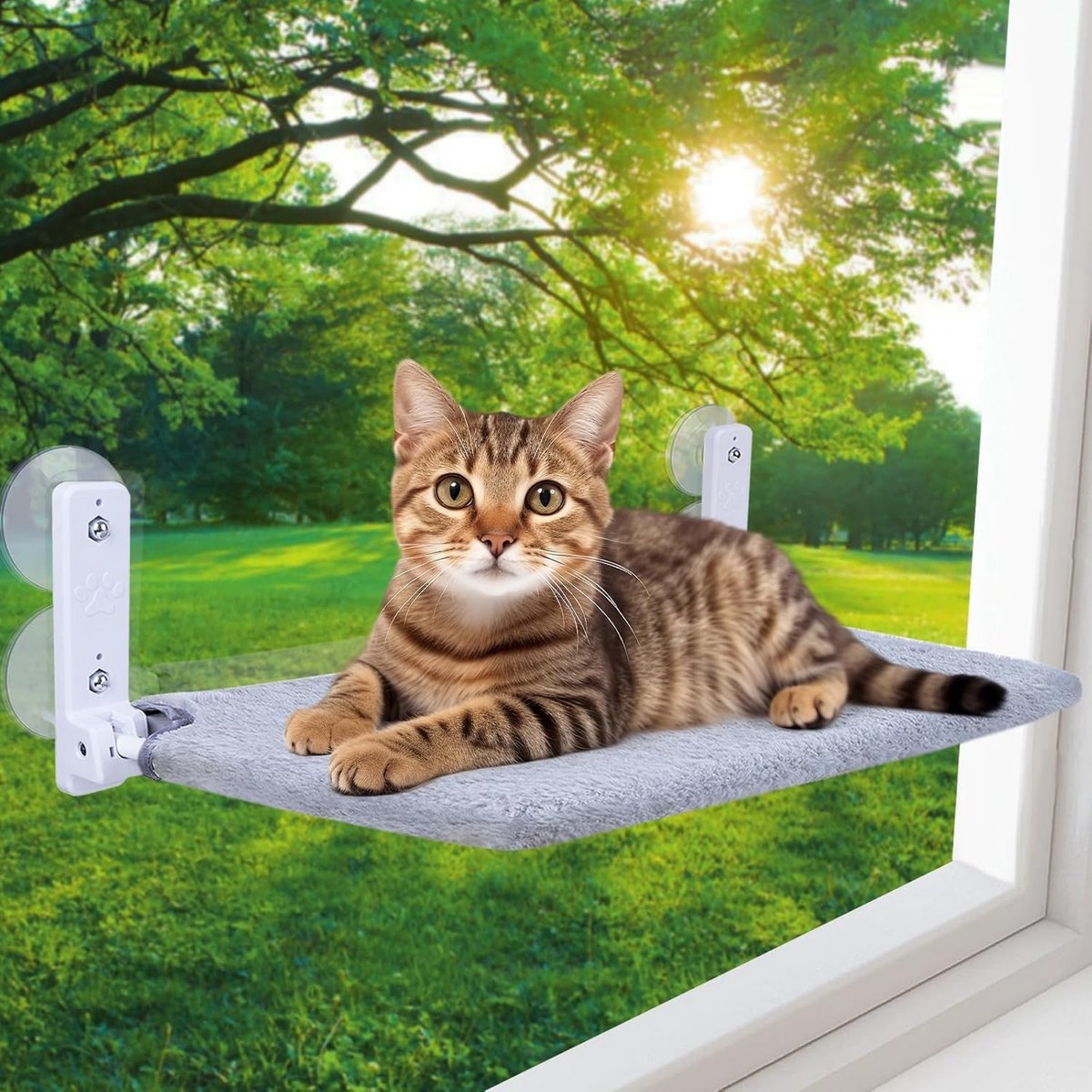 hangmat voor ramen, 52 x 30 cm, kattenbed, raam met afneembare pluche onderlegger, opvouwbare en stabiele hangmat met 4 sterke zuignappen, houdt 18