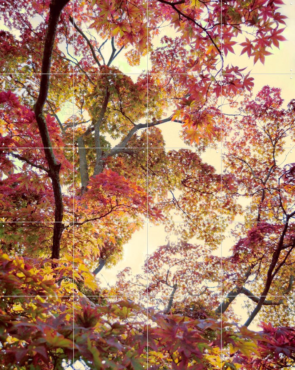 IXXI Japanese Garden, Angelo Cerantola - 80 x 100 cm - Gratis ophangtool - Grote wanddecoratie en posters - Kleurrijk, Slaapkamer, Woonkamer, Gang