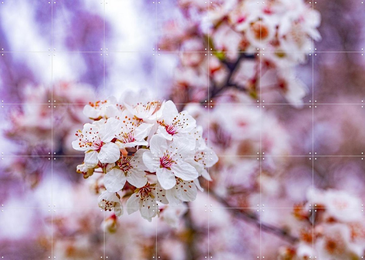 IXXI Spring Flowers, Margriet Hulsker - 140 x 100 cm - Gratis ophangtool - Grote wanddecoratie en posters - Fotografie, Slaapkamer, Woonkamer