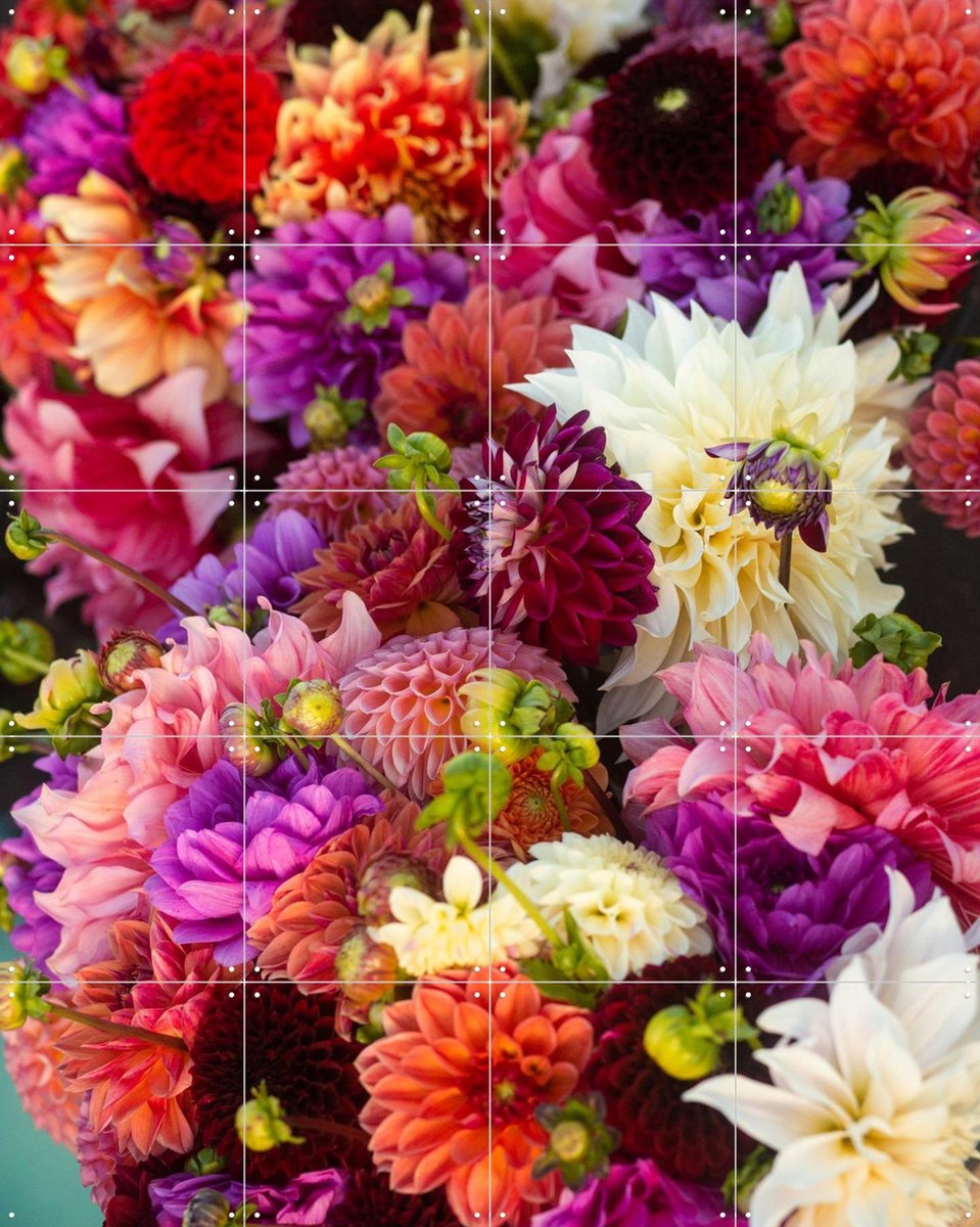 IXXI Dhalias, Margriet Hulsker - 80 x 100 cm - Gratis ophangtool - Grote wanddecoratie en posters - Fotografie, Kleurrijk, Woonkamer, Eetkamer