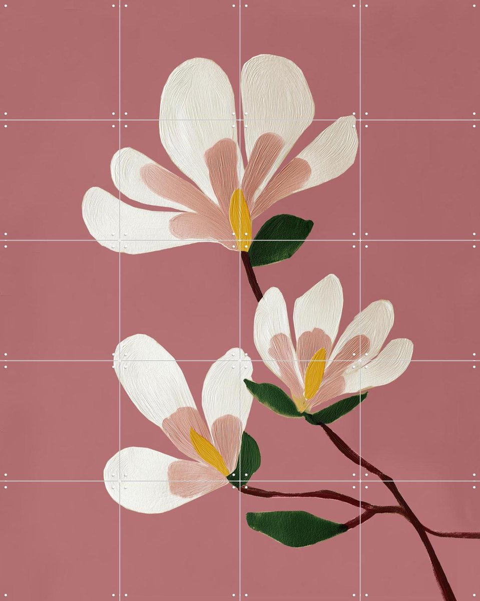 IXXI Pink Magnolia Flowers, Branka Kodžoman - 80 x 100 cm - Gratis ophangtool - Grote wanddecoratie en posters - Schilderijen, Modern, Eetkamer