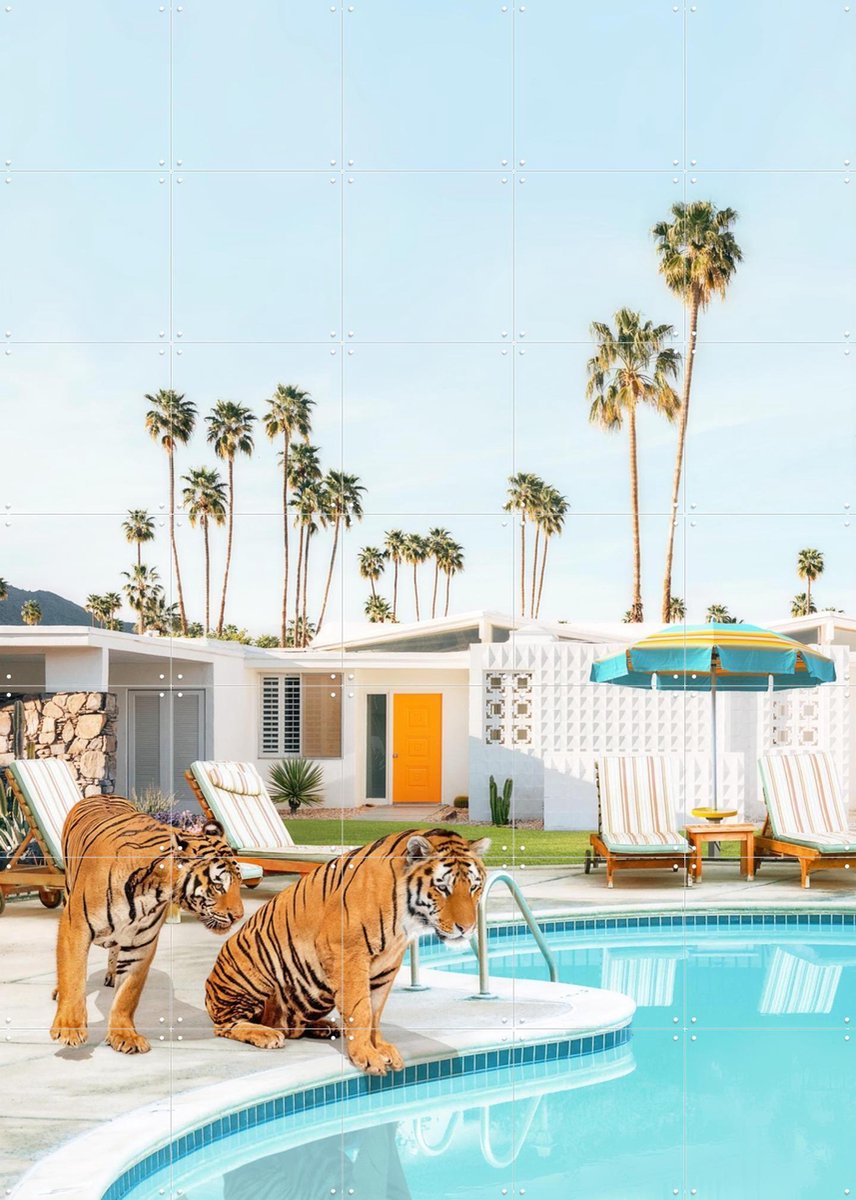 IXXI Tigers at the Pool, Paul Fuentes - 100 x 140 cm - Gratis ophangtool - Grote wanddecoratie en posters - Modern, Strandhuis, Woonkamer, Dieren