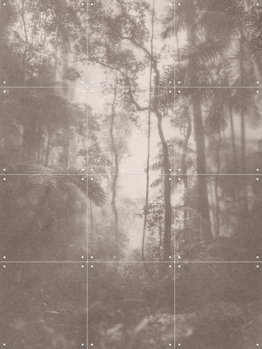 IXXI Jungle Brouillard, Florent Bodart - 60 x 80 cm - Gratis ophangtool - Grote wanddecoratie en posters - Vintage, Mancave, Woonkamer, Studeerkamer