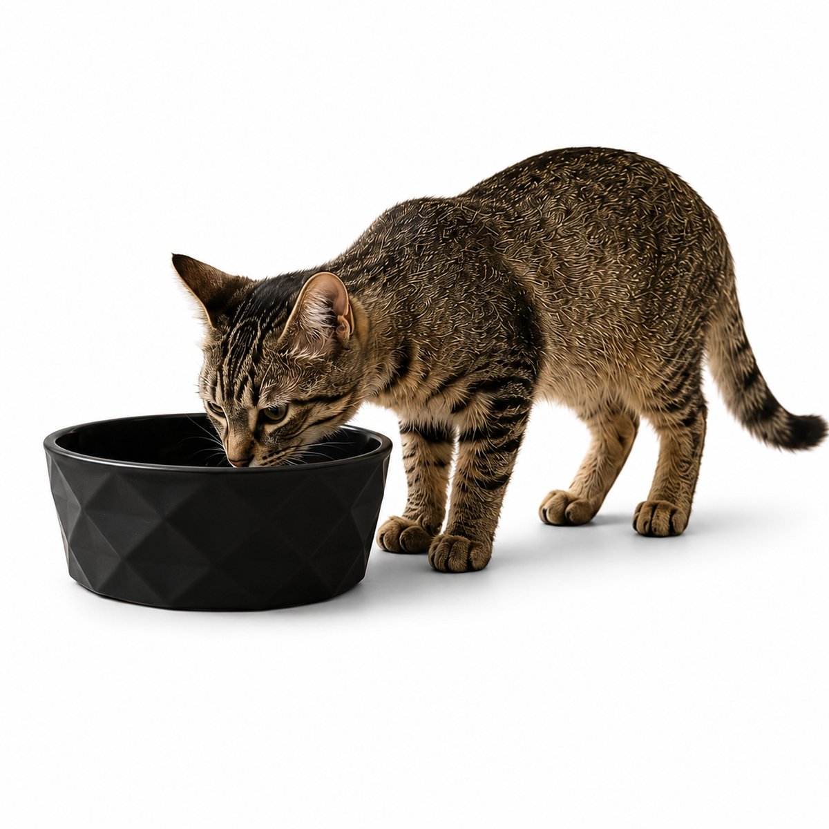 belviona Kattenvoerbak keramiek voor natvoer, droogvoer & water, 350 ml mat zwart