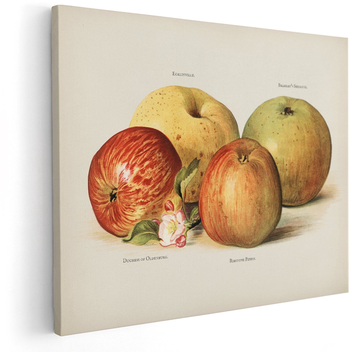 Artaza Canvas Schilderij Appels - 150x120 cm - Groot - Wanddecoratie Keuken - Muurdecoratie Stilleven - Decoratie Vintage Fruit