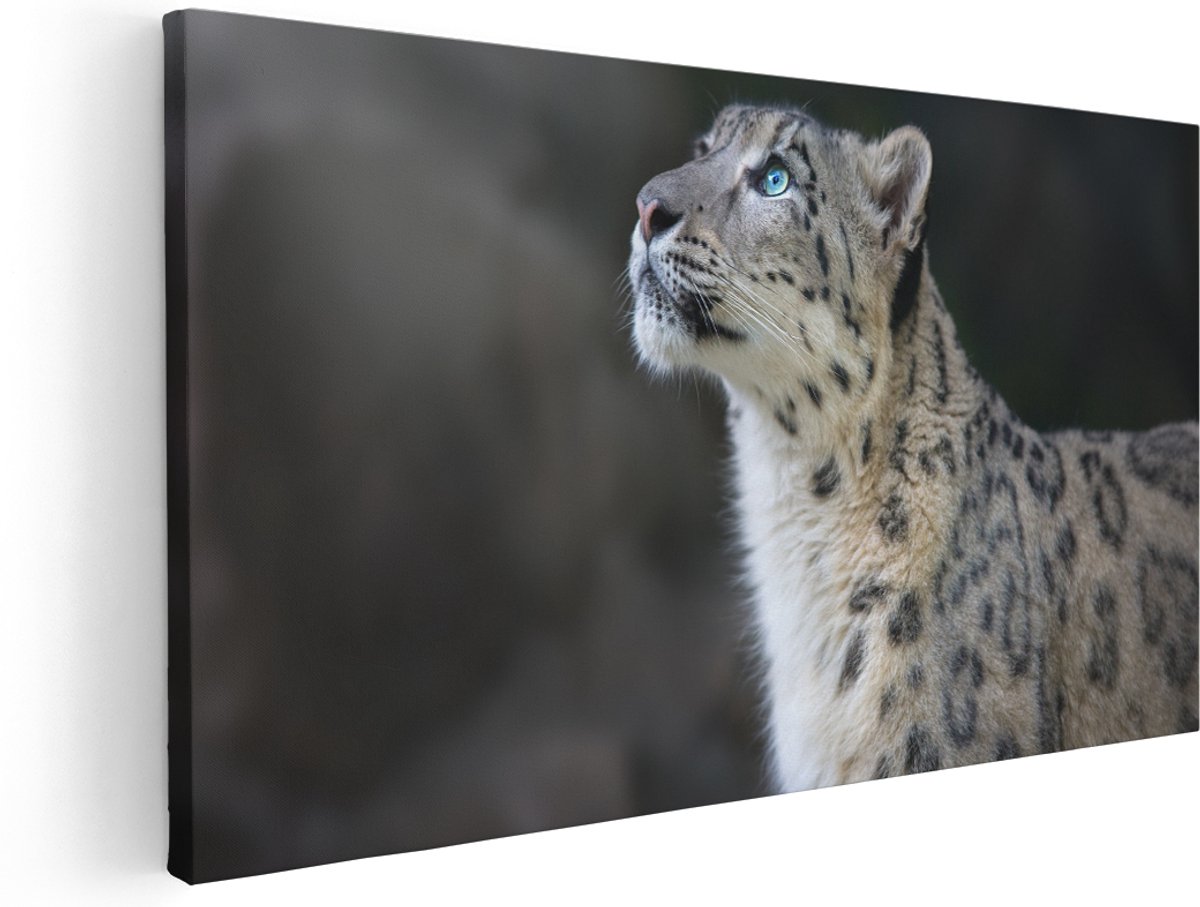 Artaza Canvas Schilderij Luipaard Met Blauwe Ogen - 160x80 cm - Groot - Wanddecoratie Woonkamer - Schilderijen - Muurdecoratie