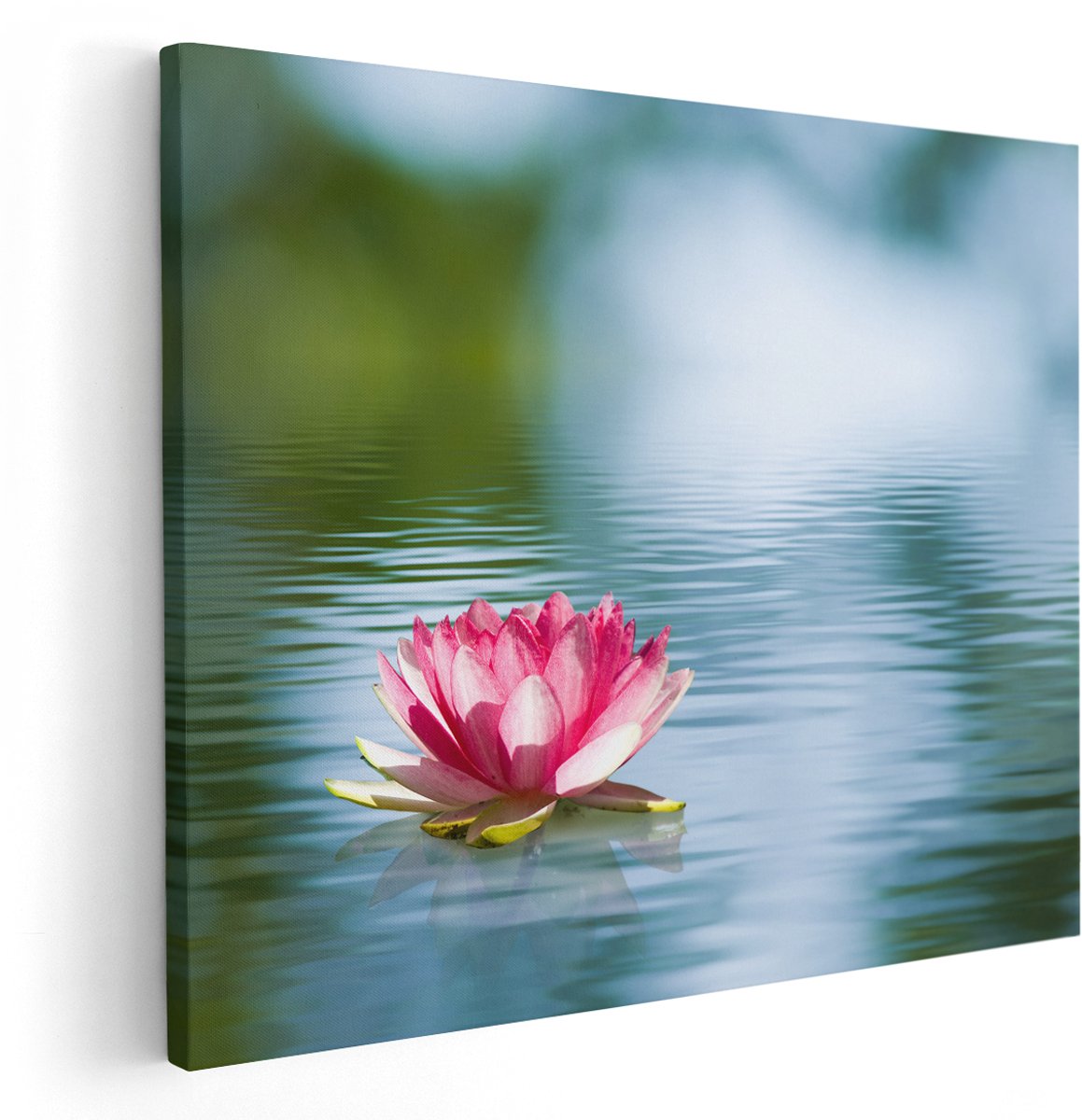 Artaza Canvas Schilderij Roze Lotusbloem Op Het Water - 150x120 cm - Groot - Wanddecoratie Woonkamer - Schilderijen - Muurdecoratie