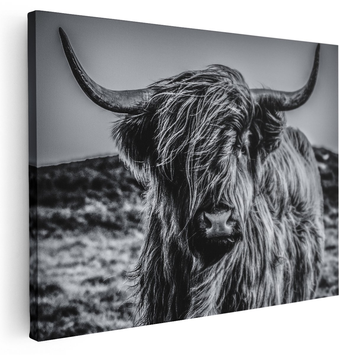 Artaza Canvas Schilderij Schotse Hooglander Koe - Zwart Wit - 160x120 cm - Groot - Wanddecoratie Woonkamer - Schilderijen - Muurdecoratie