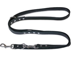 FREUDENTIER Hondenriem van leer, 2 m, leren riem, verstelbaar, hondenriem van gecertificeerd vetleer voor kleine, middelgrote en grote honden, Alsterufer collectie (Midnight, 16 mm breed)