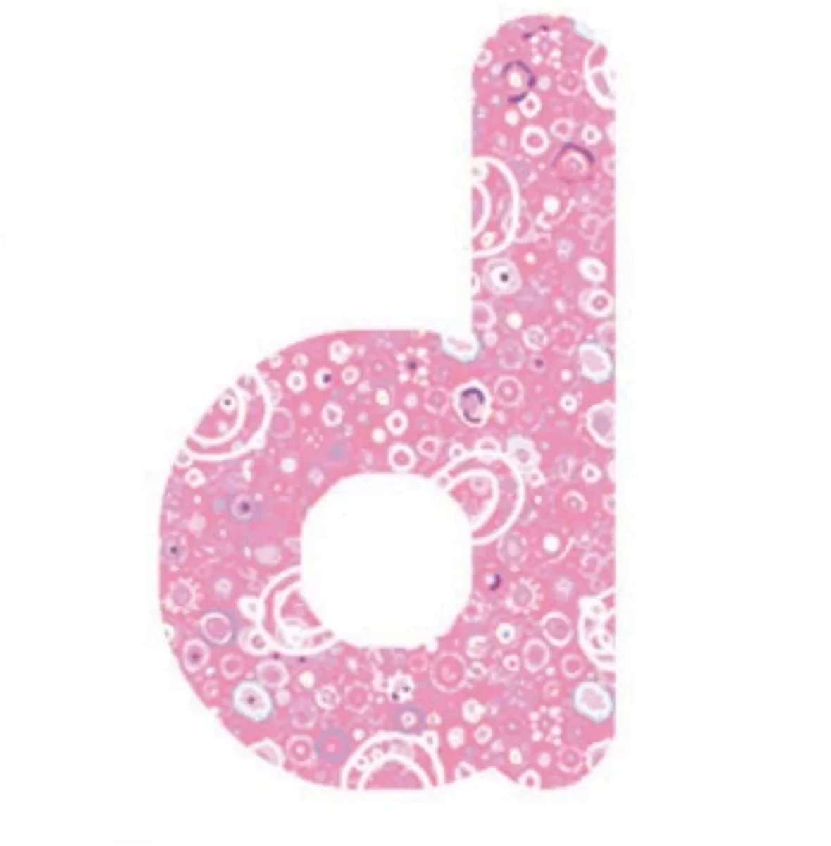 Lilipinso sticker roze letter d