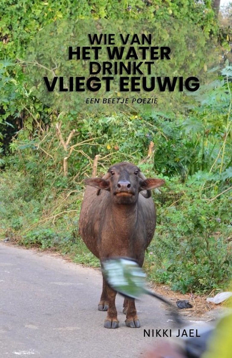 Spiritueel Dagboek met Gedichten en Woordspelingen over Eeuwigheid en Innerlijke Rust