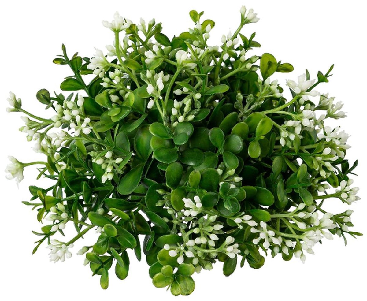 Gasper Eucalyptus Halve Bol Groen-Wit Ø 17 cm
