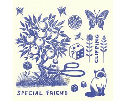 Special Friend - Clipping (LP)