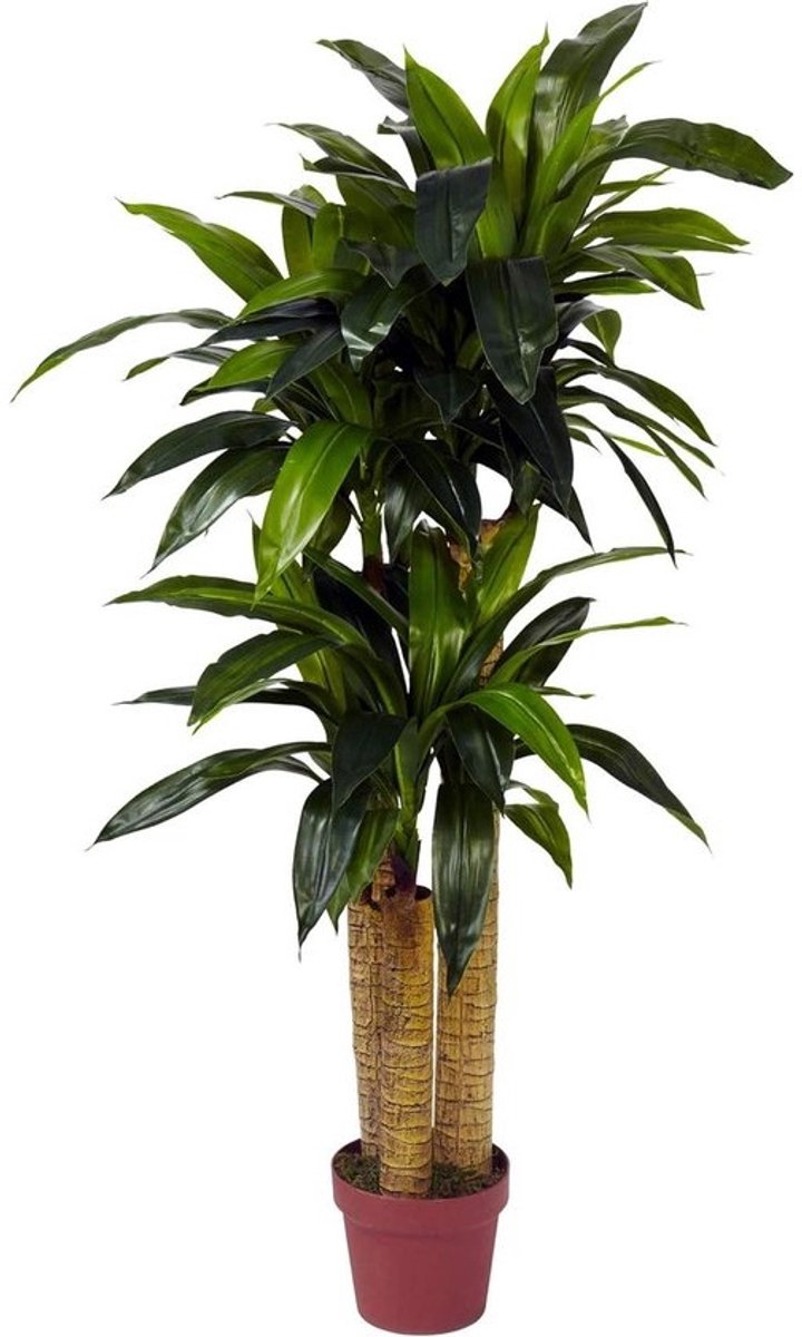 Zijde Dracaena Plant - Kunstplant Decoratieve Plant - Interieur Decoratie - Realistisch Echt Om Aan Te Raak