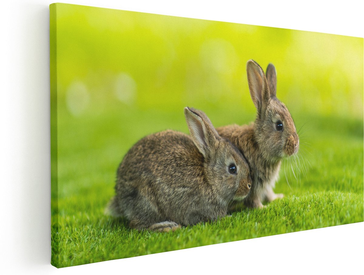 Artaza Canvas Schilderij Twee Konijnen Op Het Groene Gras - 180x90 cm - Groot - Wanddecoratie Woonkamer - Schilderijen - Muurdecoratie