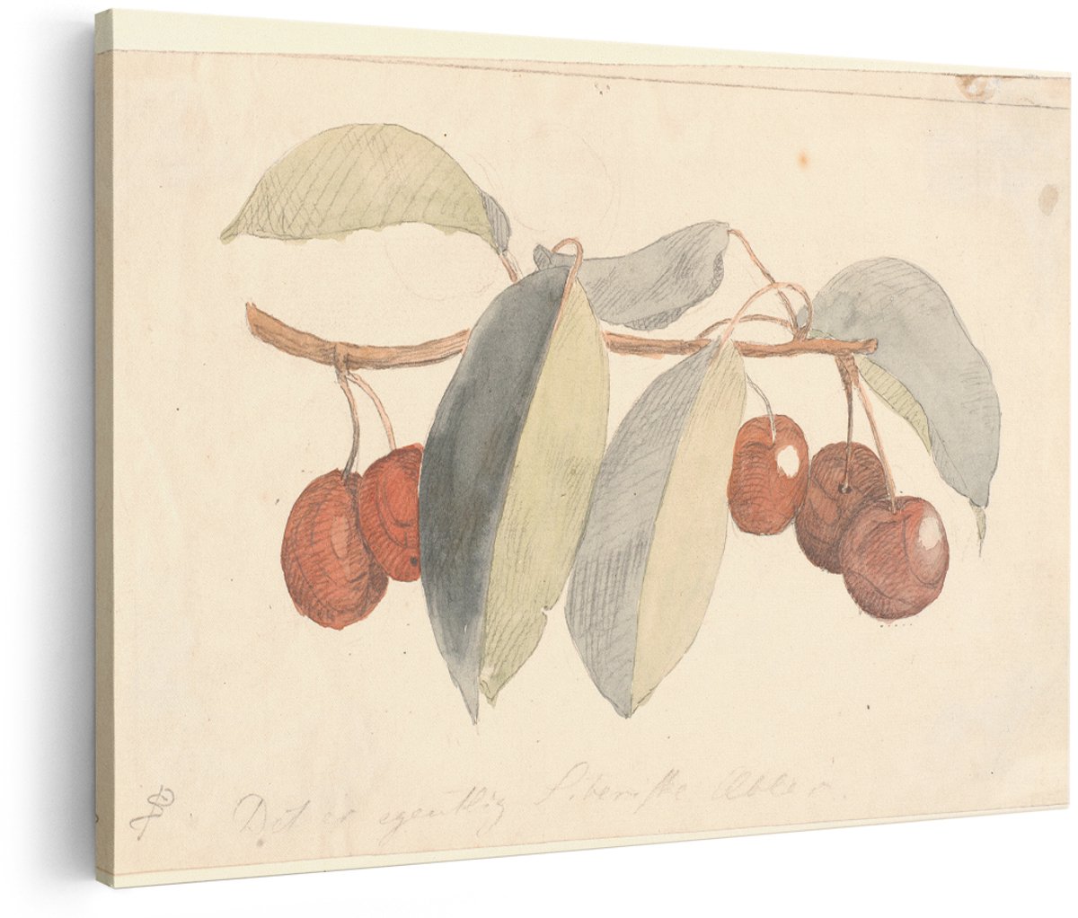 Artaza Canvas Schilderij Kersen - 180x120 cm - Groot - Wanddecoratie Botanisch - Muurdecoratie Vintage Aquarel - Decoratie Fruit Tak Bladeren