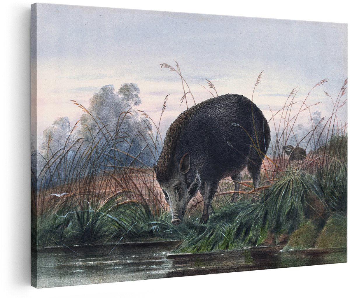 Artaza Canvas Schilderij Wild Zwijn - 180x120 cm - Groot - Wanddecoratie Dieren - Muurdecoratie Natuur Landschap - Vintage Schilderijen Woonkamer