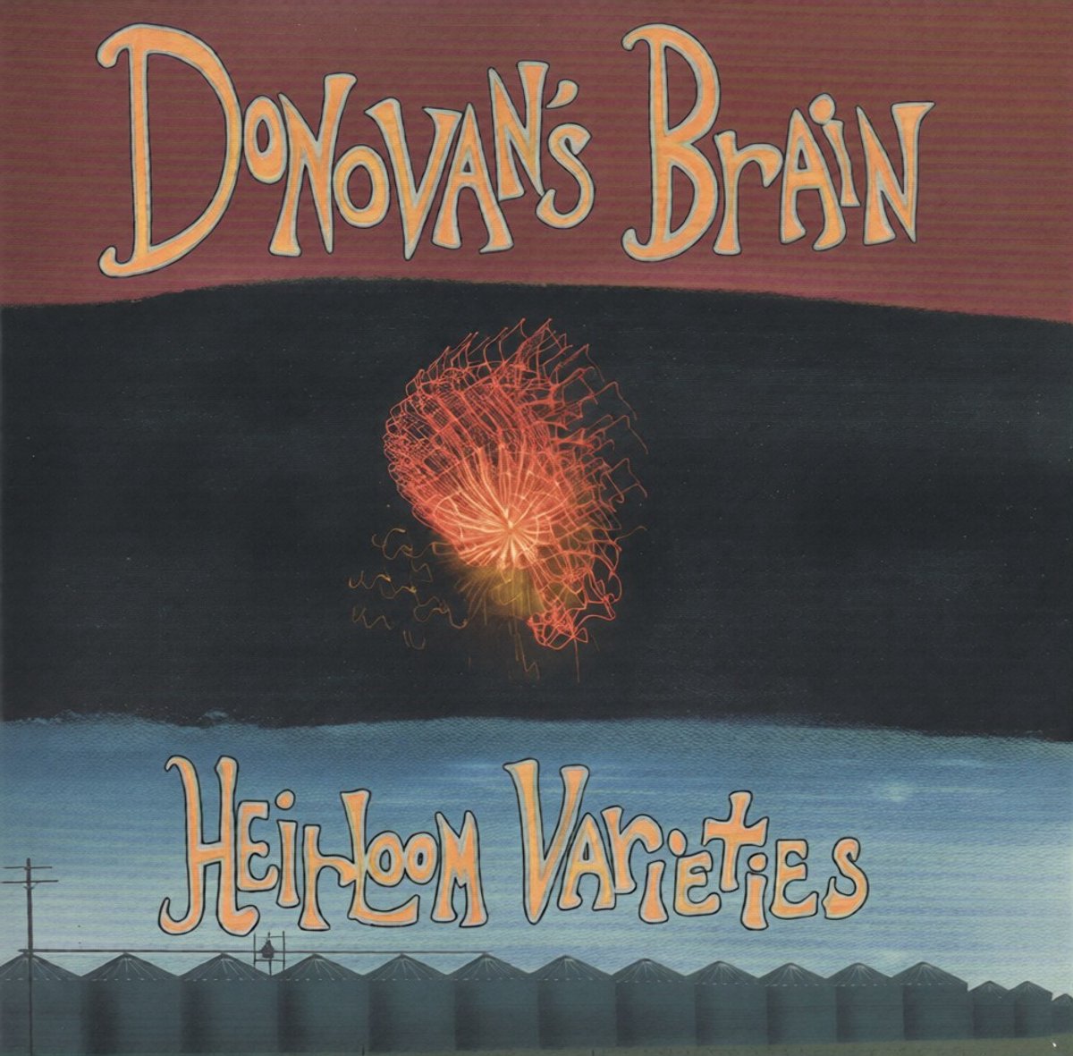 Donovan's Brain - Heirloom Varieties (LP)