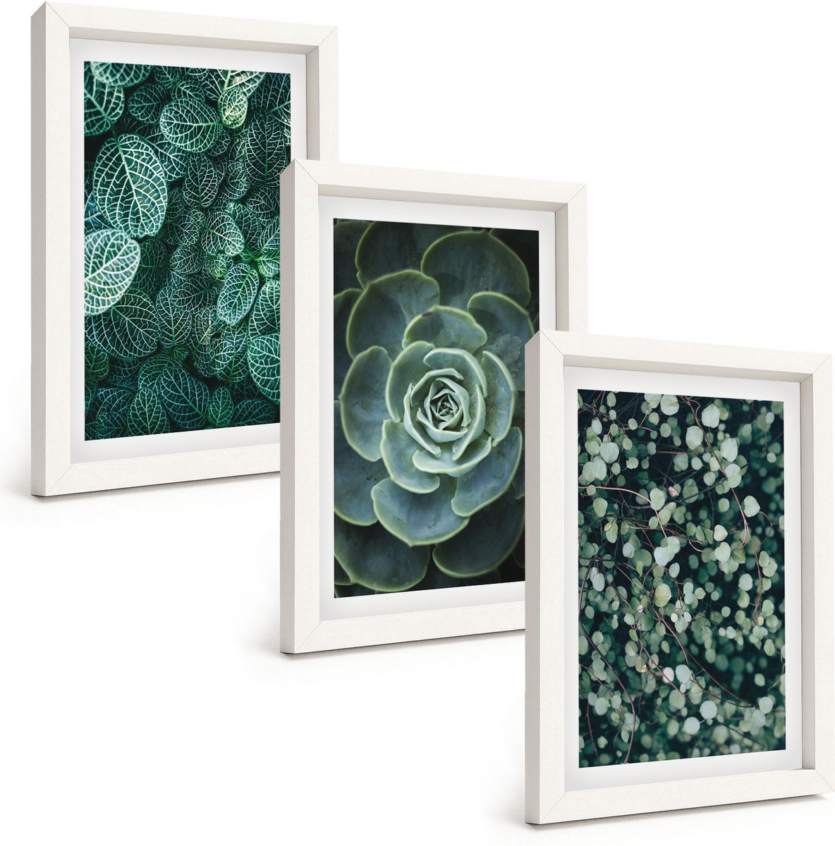 Wallfluent 3-Delige Schilderij Set - Groene Bladeren Van Vetplanten En Tere Takjes - 20 x 30 - Muurdecoratie - Wanddecoratie - Hal - Moderne Wanddecoratie