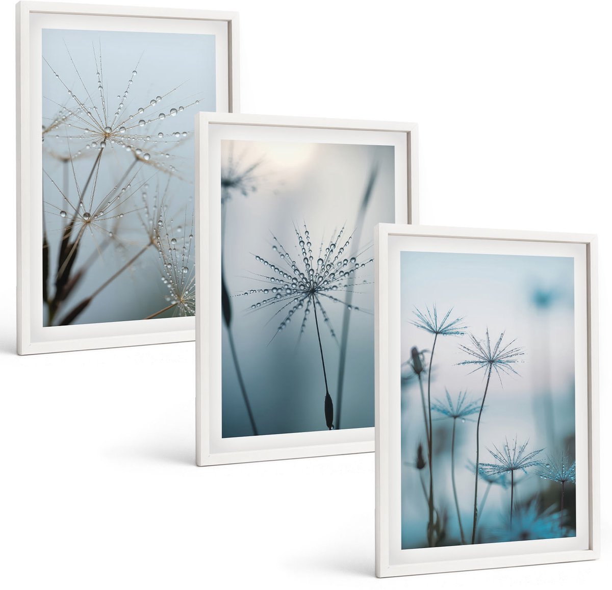 Wallfluent 3-Delige Schilderij Set - Fijne Paardenbloemen Met Waterdruppels - 40 x 60 - Decoratieve Muurdecoratie - Slaapkamer - Stijlvolle Muurdecoratie