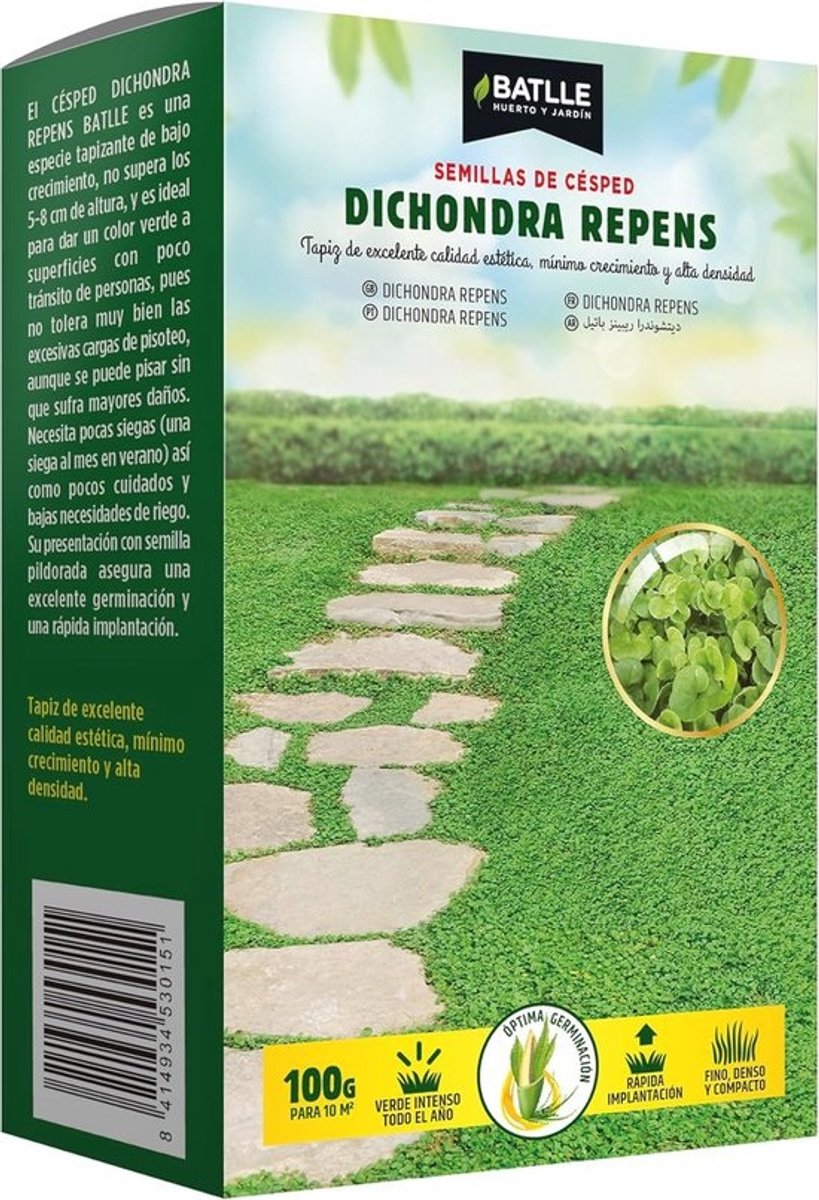Dichondra repens: Perfecte Bodembedekker voor Tuinen en Gazons