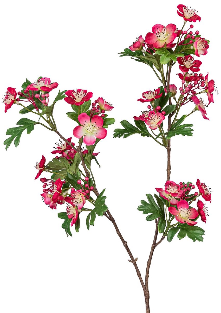 Gasper Meidoorntak roze & crème 71 cm