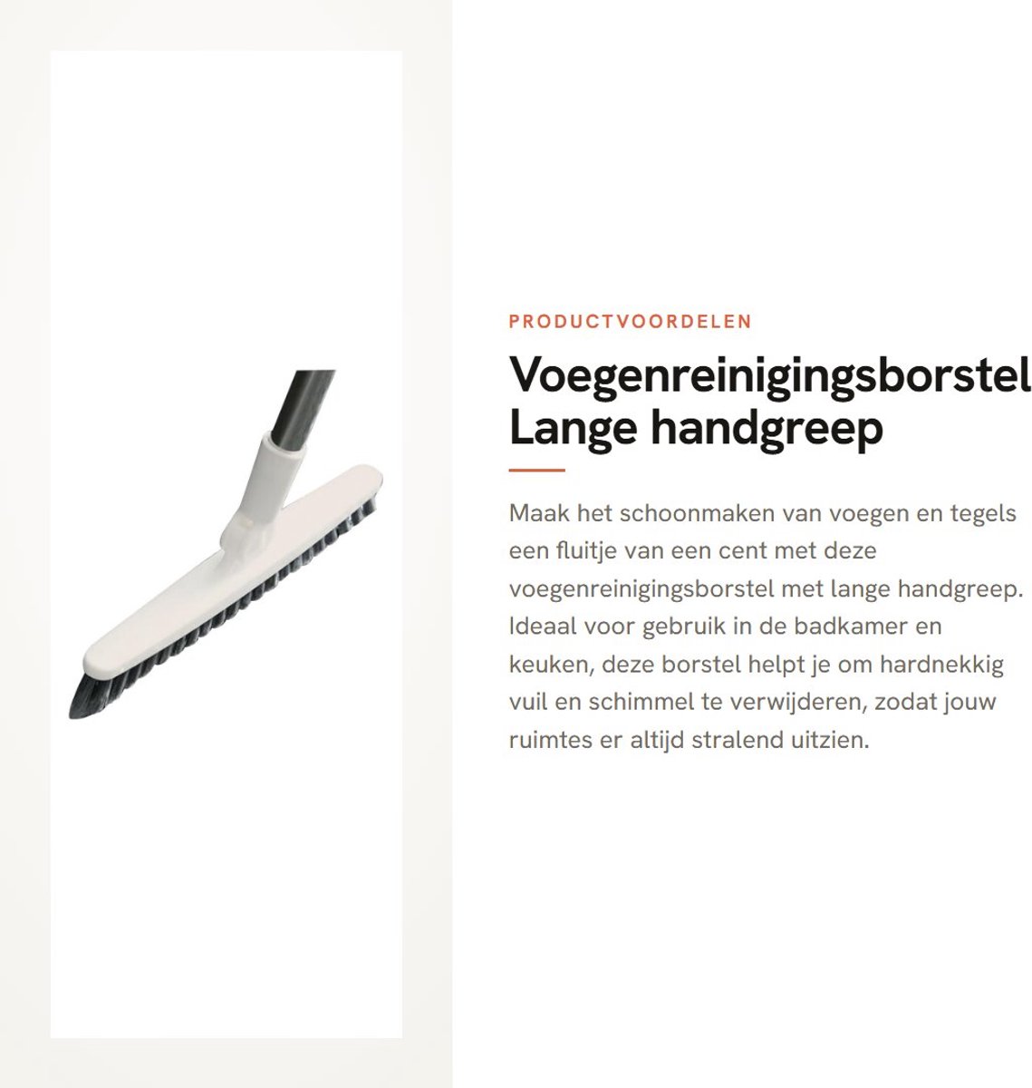 Dailygoods- Voegenreinigingsborstel met lange handgreep - Reinigingsborstel - Kunststof - Hardnekkig vuil - Diepe scheuren - Lichtgewicht 230 gr