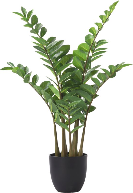 Zamioculcas kunstplant met meerdere stelen en donkergroene bladeren in een zwarte pot.