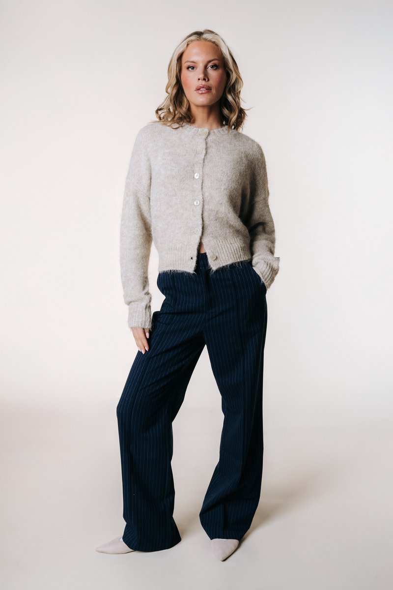 Colourful Rebel Rus Pinstripe Pintuck Straight Pants- XL