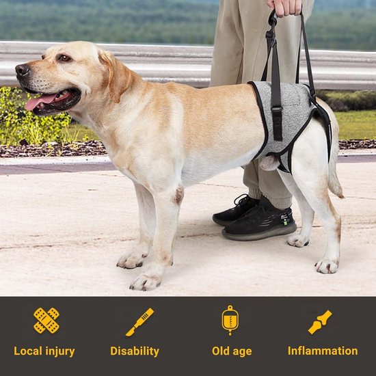 Hondenharnas voor honden met beperkte mobiliteit, steun voor achterpoten, ideaal voor oudere en gehandicapte honden (S) — afbeelding 3