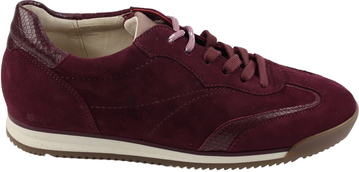 Gabor - 6025 - Sneakers - bordo - 37