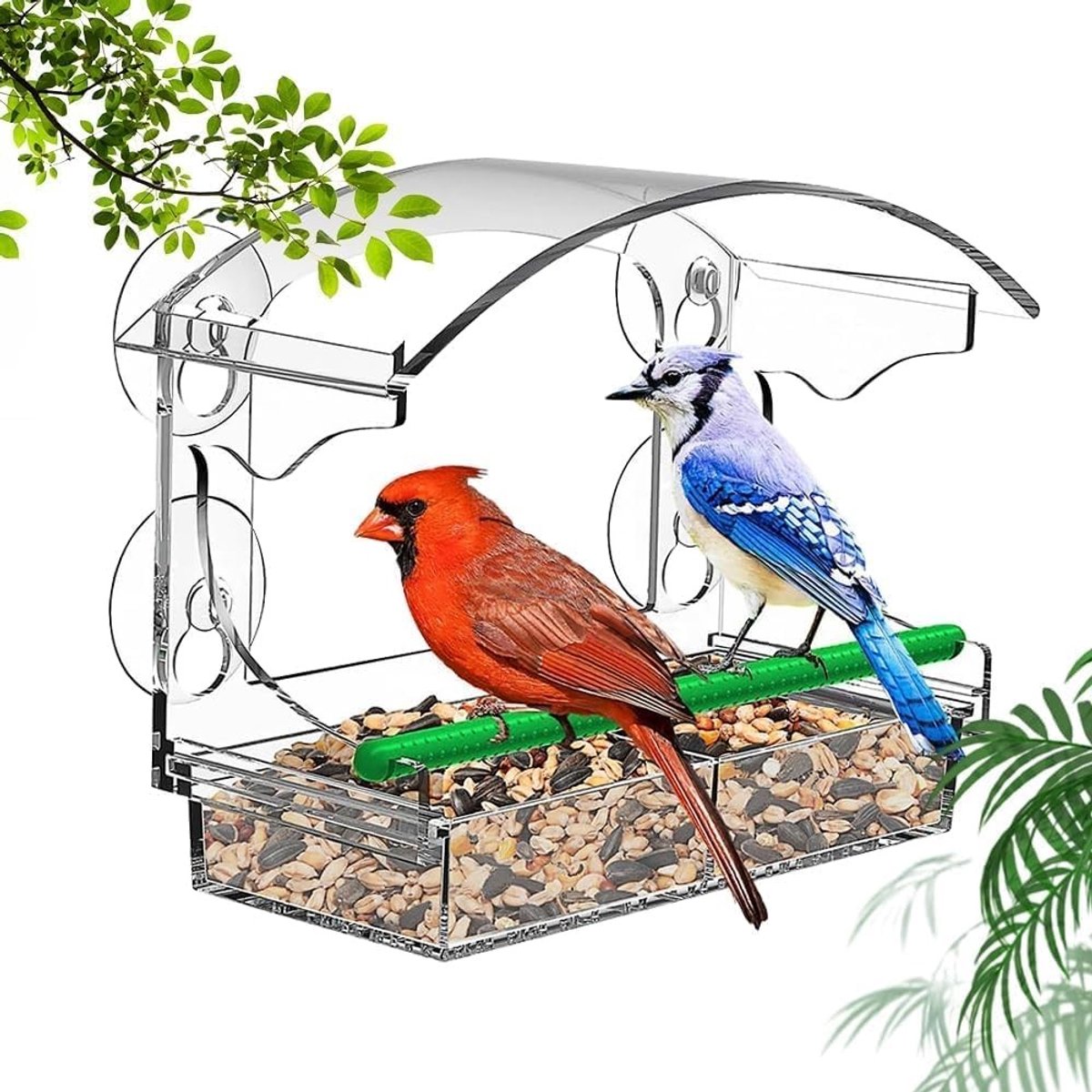 Raamvoederhuis voor vogels - Transparant vogelhuis met zuignappen