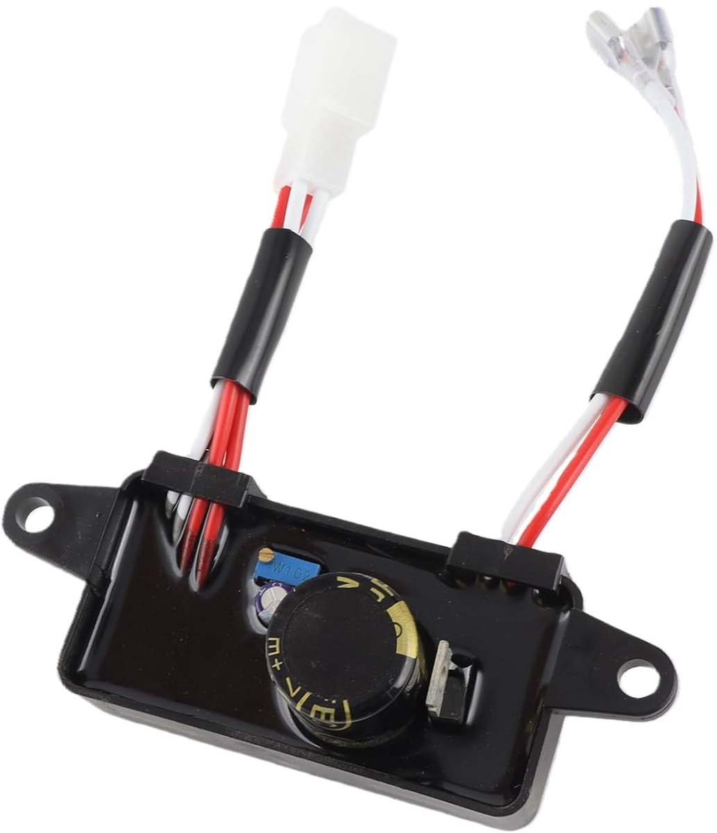 SnelShoppen - Universele Automatische Spanning Regulator 250V 220uF voor 1-3 kW Generator - Stabiele Voltage Regulator voor Camping, Tuin en Feest