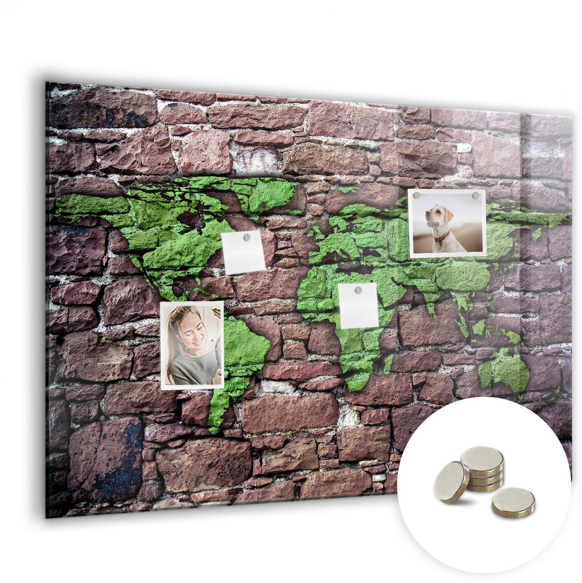 Coloray Glazen Magneetbord - Magnetisch Bord Onderwaterleven - 100x70 cm - Veelkleurig Magneetbord - Magnetic Board - Glazen Magneetbord