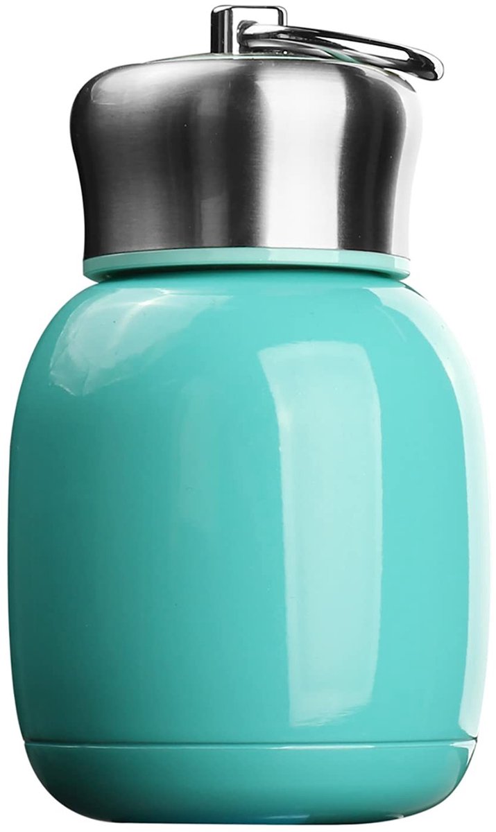 Dailygoods- Waterfles Vacuüm Geïsoleerd 200 ml - Roestvrij Staal - Lekvrij - Draagbaar - Ideaal voor School/Reizen - Houdt Temperatuur tot 12 Uur Warm - Thermofles