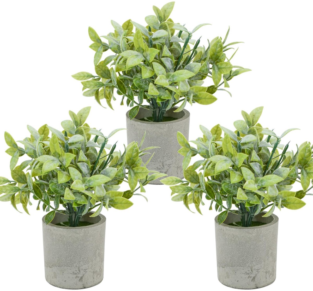 Dailygoods - 3 stuks nepplanten in pot mini kunstgroen kunstplanten voor plank tafel kantoor boerderij woondecoratie (1, buxus)